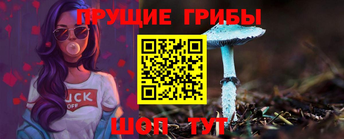 Псилоцибиновые грибы Magic Shrooms  Вход с VPN  Галлюциногенные грибы Psilocybe  Кумертау 