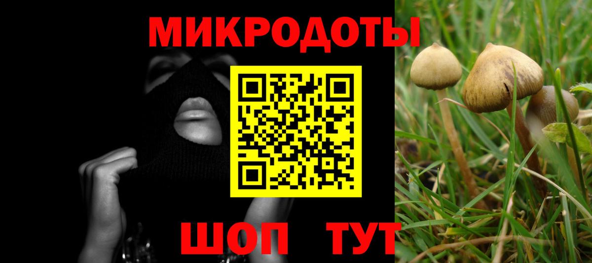 Галлюциногенные грибы Psilocybine cubensis Кумертау